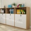 Tủ Tài Liệu Thấp Hiện Đại- TL 09