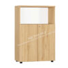 Tủ tài liệu gỗ TG02-0812