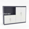Tủ Hồ Sơ Thấp THST10