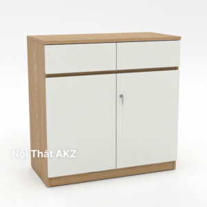 Tủ Hồ Sơ Thấp THSTY55